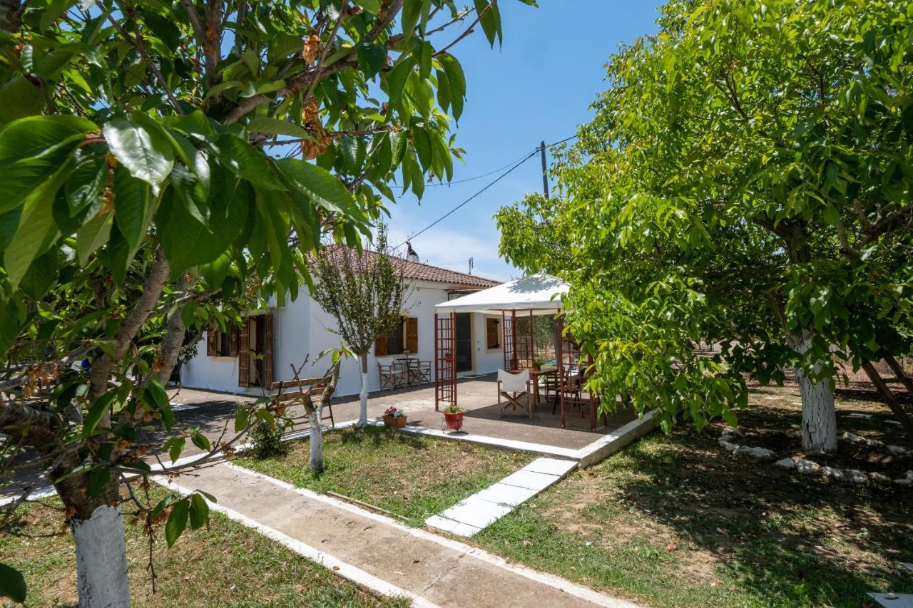 Nagia'S House, Εξοχική Κατοικία Κοντά Στη Θάλασσα! Korakokhórion エクステリア 写真
